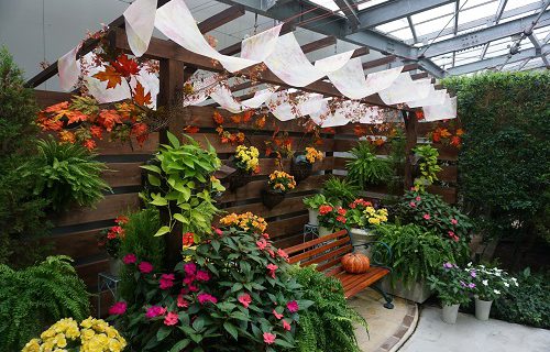 ただ今 開花中 しまね花の郷